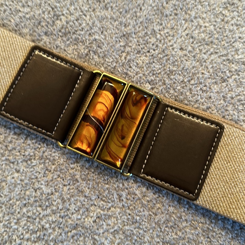 Lake Shore Drive Stretch Belt